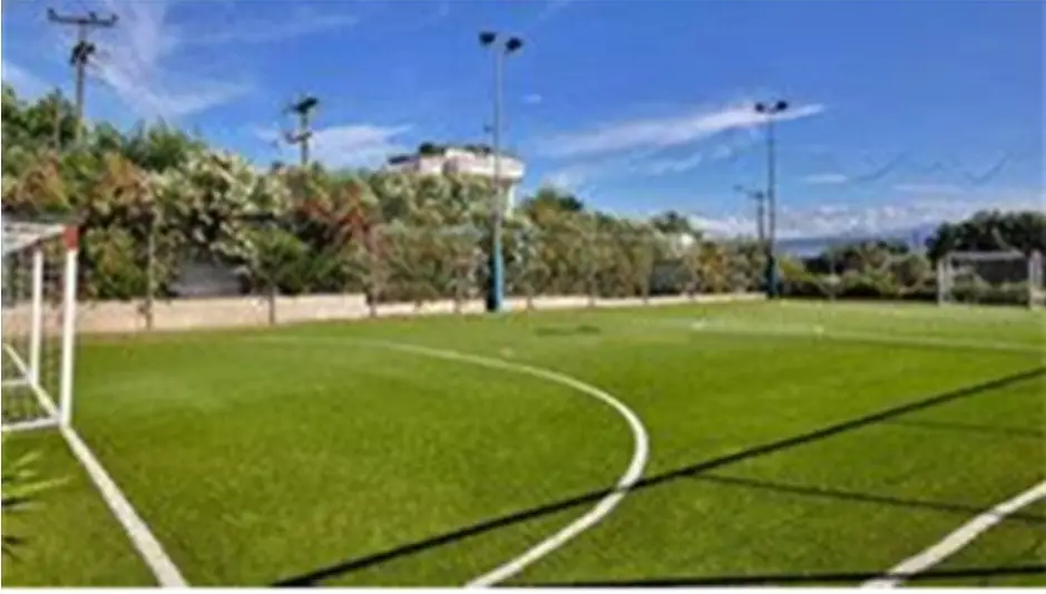 تاج: ۲۸میلیون دلار پول بلوکه‌شده در فیفا داریم/ از ۹ دستگاه برای ترمیم چمن آزادی دعوت کرده‌ایم