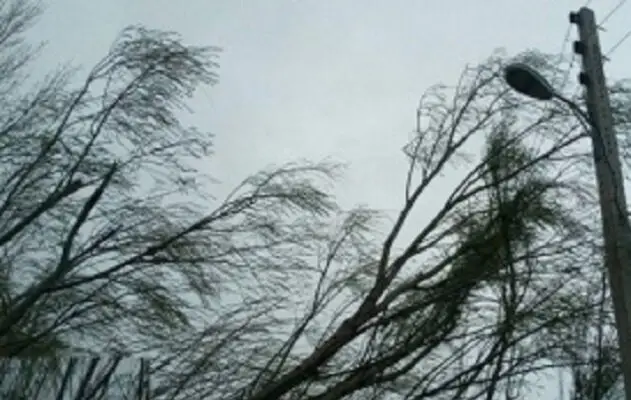 احتمال سیلابی شدن مسیل‌ها در تهران/ وقوع تندباد لحظه‌ای