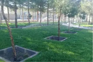 راهیابی پنج طرح شاخص شهری شهرداری منطقه ۱۰ شیراز به مرحله نهایی جایزه معماری سال کشور