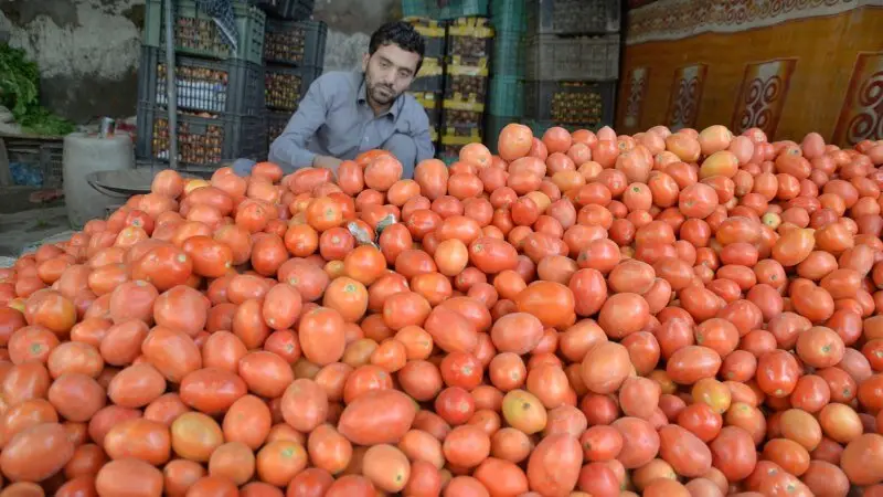 تشدید نظارت بر بازار در آستانه شب یلدا در فارس