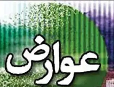 نگاهی جامع به صفر تا صد مقوله عوارض نوسازی/ ۲۸ مردادماه ، پایان بخشودگی جرایم عوارض نوسازی اعلام شد