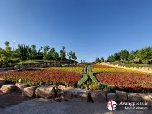 گزارش تصویری / باغ گلهای شیراز دارای گونه های زیبای گل ها و درختان زیبا