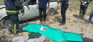 برخورد خودرو با شتر بار در جاده ظفرآباد