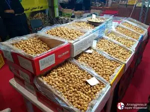 برپایی اولین جشنواره فروش انجیر در شیراز