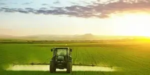 جهاد کشاورزی فارس در جشنواره شهید رجایی رتبه برتر کسب کرد