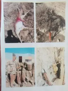 عکس های شکار درون گوشی تلفن همراه، جرایم شکارچیان متخلف شهرستان قیروکارزین را دوچندان کرد