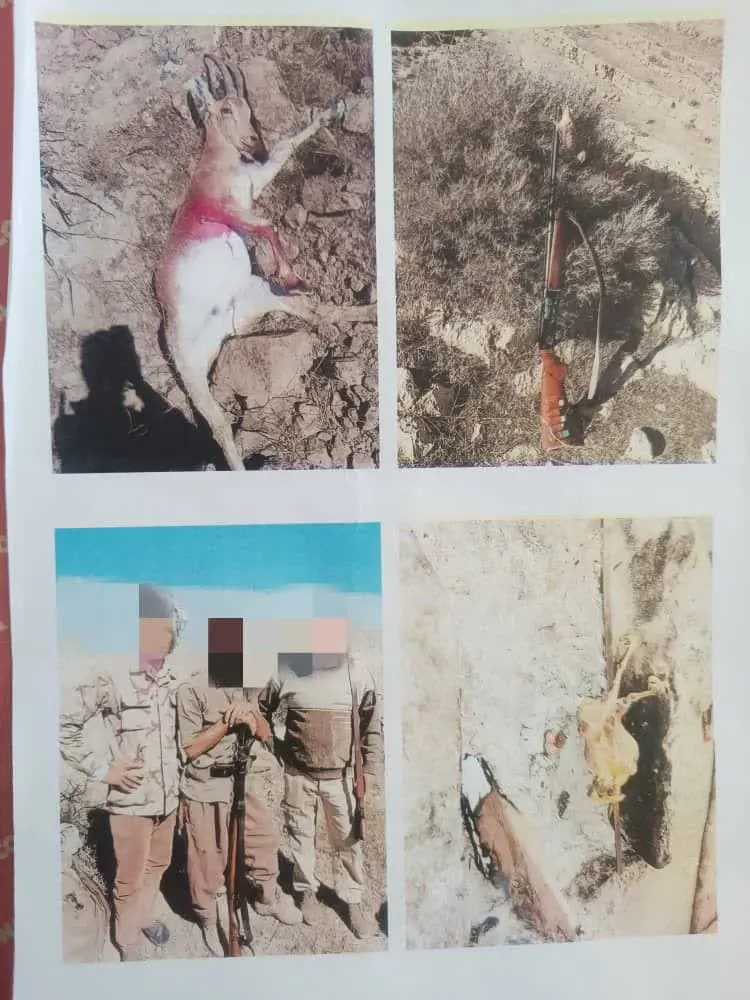 عکس های شکار درون گوشی تلفن همراه، جرایم شکارچیان متخلف شهرستان قیروکارزین را دوچندان کرد