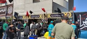 دلدادگی خادمیاران رضوی استان فارس به امام مهربانی