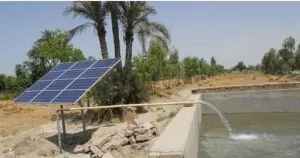 کشاورزان با احداث نیروگاه خورشیدی می توانند از برنامه های مدیریت مصرف معاف شوند