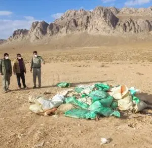 مرغداری متخلف لاشه دوهزار قطعه مرغ تلف شده را در مناطق زیست محیطی بوانات رها کرد