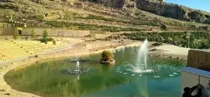 حفظ و نگهداری و افزایش سرانه فضای سبز منطقه ۱۱