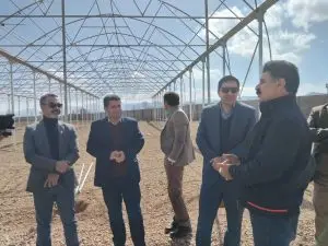 ابراز امیدواری رئیس جهاد کشاورزی فارس برای تامین تسهیلات گلخانه در آباده
