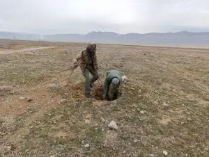 رفع تصرف و قلع و قمع نهال های تازه کاشته در اراضی ملی پناهگاه حیات وحش بختگان در شهرستان استهبان