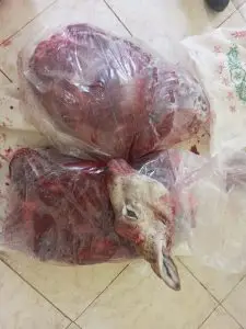 کشف شکار غیر مجاز در شهرستان سرچهان