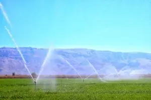 فارس در اجرای آبیاری نوین پیشتاز است