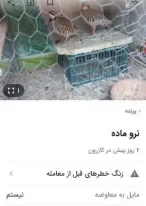 با افشای اطلاعات فروش پرندگان کبک در سایت دیوار متخلف زنده‌گیری پرندگان وحشی دستگیر شد