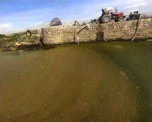 پایش رودخانه کرتوسط کارشناسان اداره حفاظت محیط زیست شهرستان مرودشت