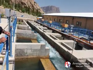 روایت مسیر آب: از دل سد درودزن تا خانه‌های شیراز