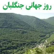 تجلیل از ۲۵ جنگلبان و فعال منابع طبیعی فارس؛ هشدار نسبت به نقش عامل انسانی در آتش‌سوزی‌ها