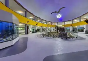 غنی‌تر شدن گنجینه زمین‌شناسی موزه تاریخ طبیعی دانشگاه شیراز با اهدای مجموعه‌ای کم‌نظیر از کانی‌ها و فسیل‌ها