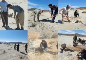 اجرای طرح کاشت گونه‌های بومی و بذرکاری در حاشیه تالاب‌های طشک و بختگان برای مهار ریزگردها