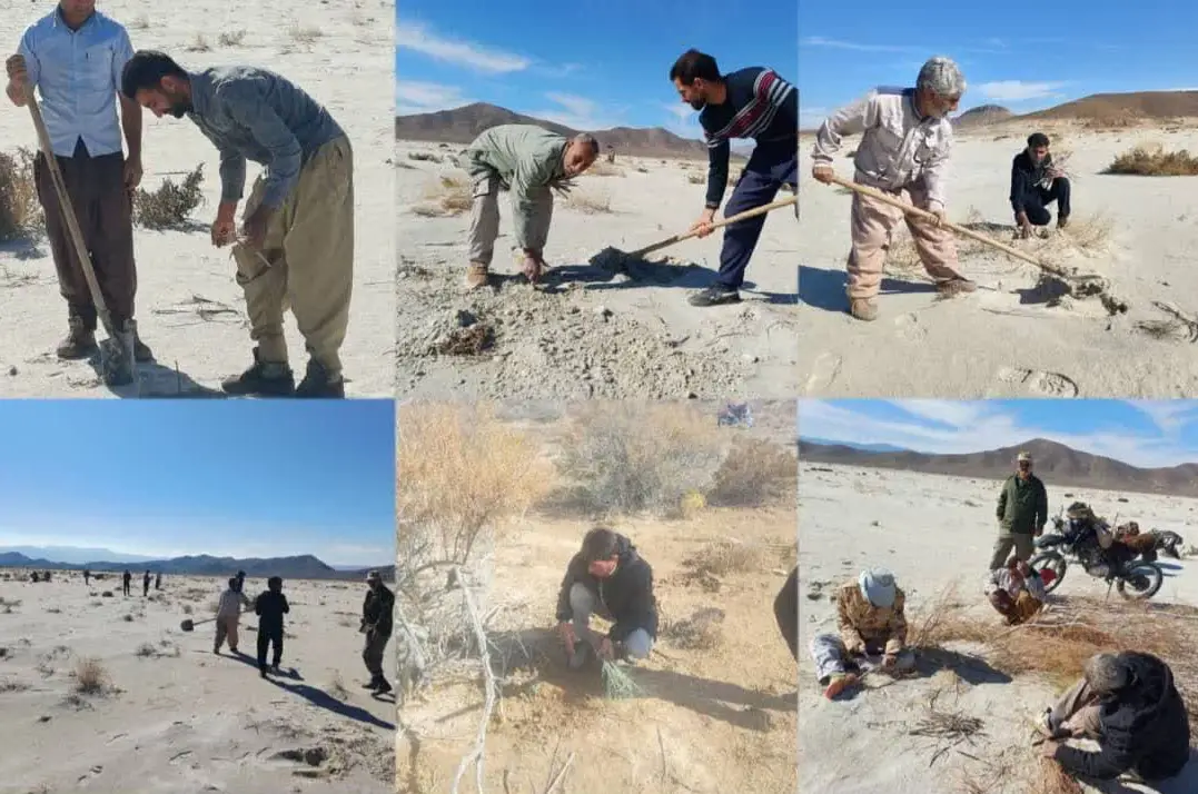 اجرای طرح کاشت گونه‌های بومی و بذرکاری در حاشیه تالاب‌های طشک و بختگان برای مهار ریزگردها
