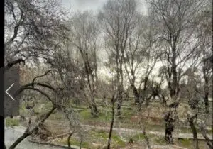 چشمه «قدمگاه» فارس به عنوان اثر طبیعی ملی مصوب و ثبت شد