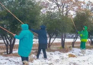 در میانه بارندگی و برف؛ شهرداری شیراز در آماده‌باش کامل برای مدیریت بحران