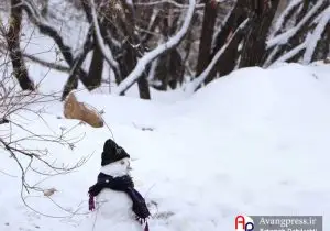 گزارش تصویری / بارش برف در سپیدان