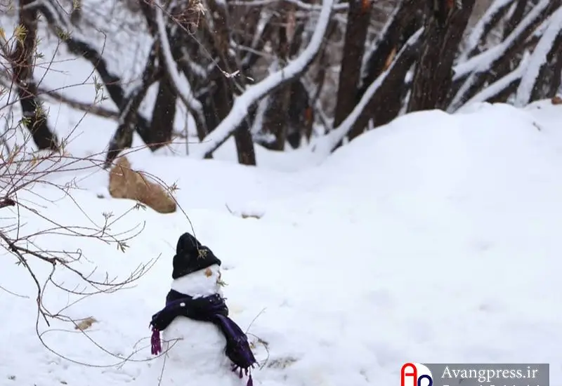 گزارش تصویری / بارش برف در سپیدان
