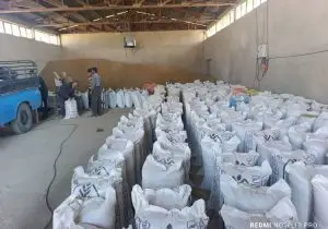 توزیع بیش از ۷۰ هزار تن انواع نهاده‌های دامی در مناطق عشایری فارس طی سال ۱۴۰۴