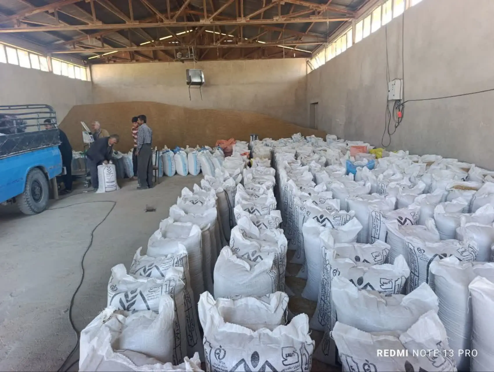 توزیع بیش از ۷۰ هزار تن انواع نهاده‌های دامی در مناطق عشایری فارس طی سال ۱۴۰۴