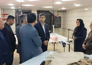 آموزش‌ مهارت های شغلی ، ارائه خدمات مشاوره‌ای و توسعه اشتغال خانواده زندانیان در دستور کار