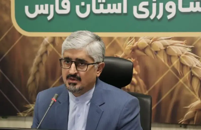 کاهش ۵۰ درصدی مصرف آب با اجرای نخستین سایت ملی کشت مستقیم ذرت در فارس