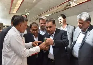 مدیرکل صنعت، معدن و تجارت فارس تأکید کرد: حمایت از تولید؛ ضامن امنیت غذایی و اشتغال پایدار