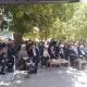 عشایر فارس ۸۰ درصد زکات دام را پرداخت کردند / رشد چشمگیر مشارکت در سرچهان