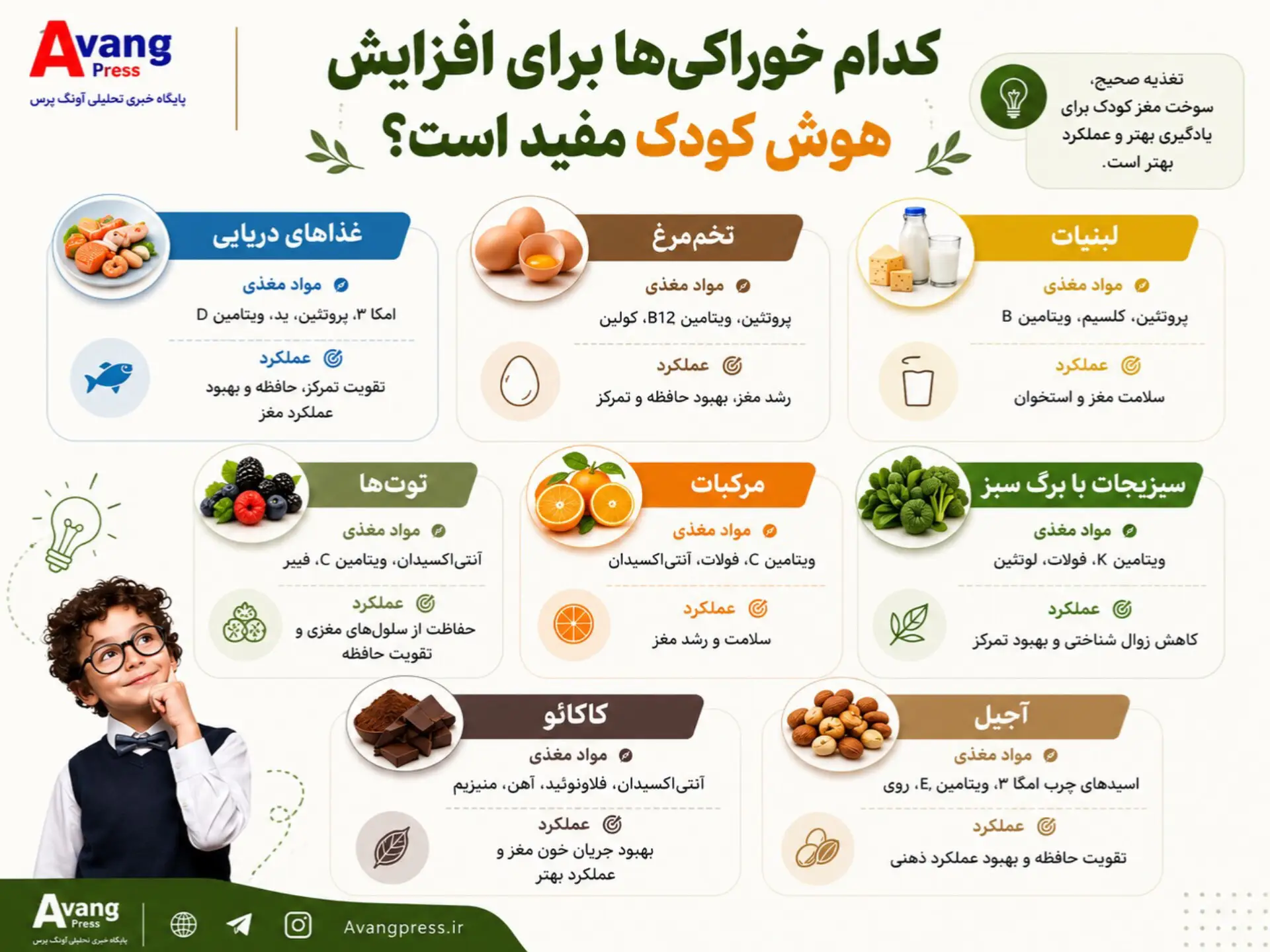 اینفوگرافیک/ کدام خوراکی ها برای افزایش هوش کودک مفید است؟