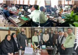 نقش سمن‌ها در پیشگیری از آسیب‌های اجتماعی و تأمین امنیت پایدار در استان فارس