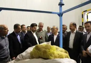 بازدید معاون وزیر از مجتمع گلخانه‌ای لوتوس فسا؛ الگوی نوین تولید، بسته‌بندی و صادرات محصولات کشاورزی