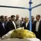 بازدید معاون وزیر از مجتمع گلخانه‌ای لوتوس فسا؛ الگوی نوین تولید، بسته‌بندی و صادرات محصولات کشاورزی