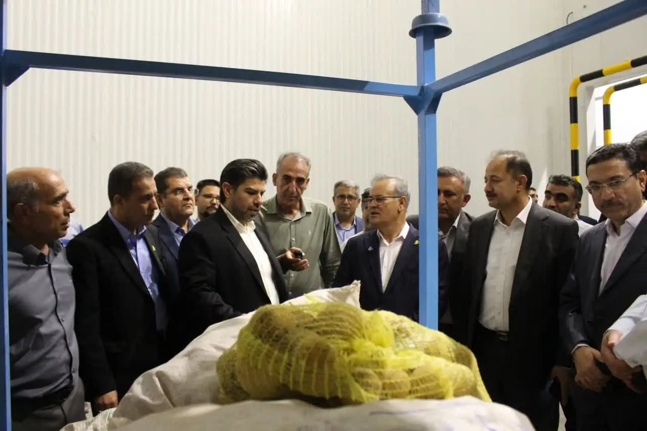 بازدید معاون وزیر از مجتمع گلخانه‌ای لوتوس فسا؛ الگوی نوین تولید، بسته‌بندی و صادرات محصولات کشاورزی