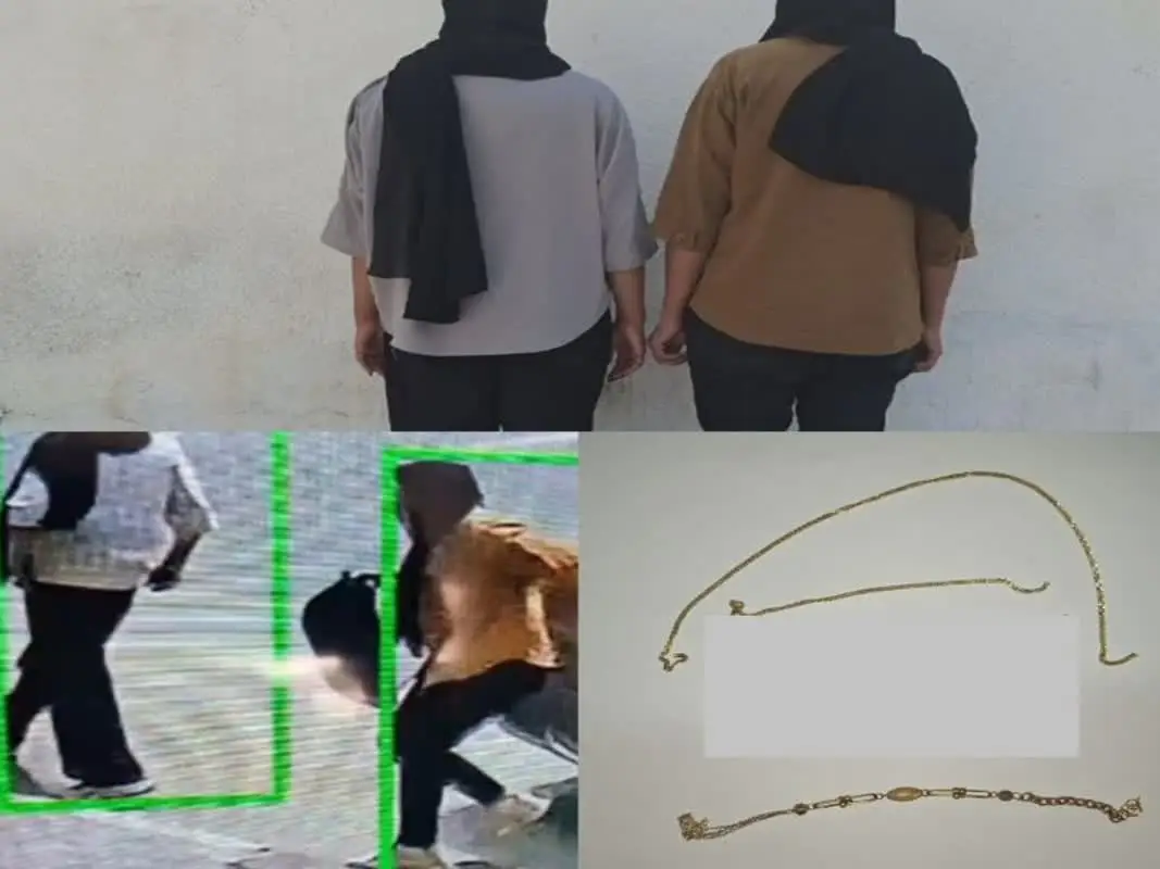 دستگیری دو زن سارق طلا از آرایشگاه زنانه در فسا؛ طلای مسروقه کشف شد