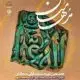 آغاز مرحله استانی هجدهمین دوره مسابقات قرآنی «مُدهامّتان» در استان فارس